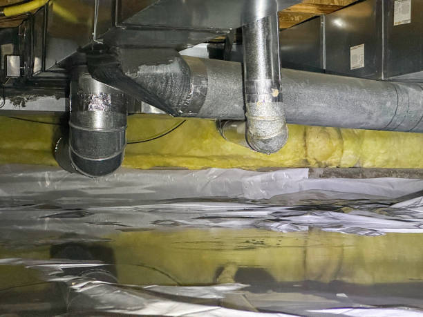 Best Carpet water damage restoration  in Maggie Valley, NC