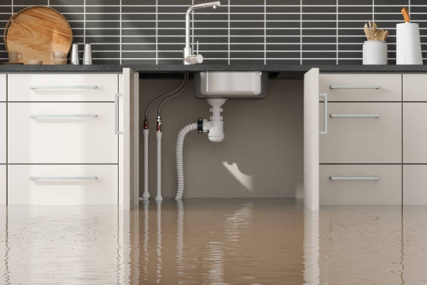 Best Water damage restoration near me  in Maggie Valley, NC