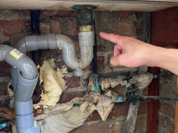 Best 24-hour water damage restoration  in Maggie Valley, NC