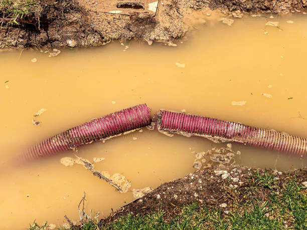 Best Water damage cleanup near me  in Maggie Valley, NC